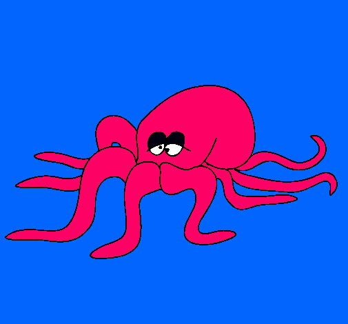 Pulpo