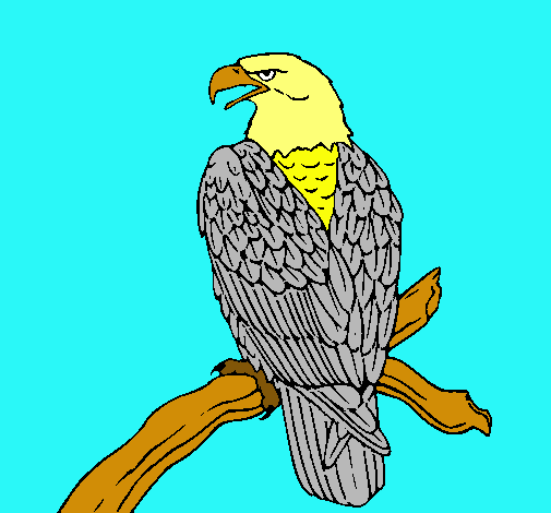 Dibujo Águila en una rama pintado por vick