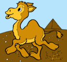 Dibujo Camello pintado por alverto