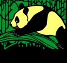 Dibujo Oso panda comiendo pintado por luisito