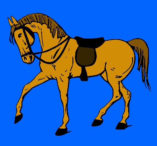 Caballo de competición