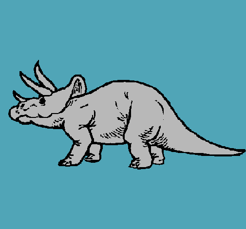 Triceratops