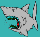 Dibujo Tiburón pintado por HECTOR-A