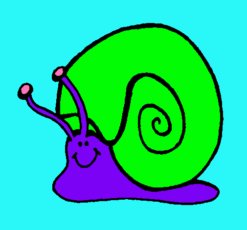 Caracol 