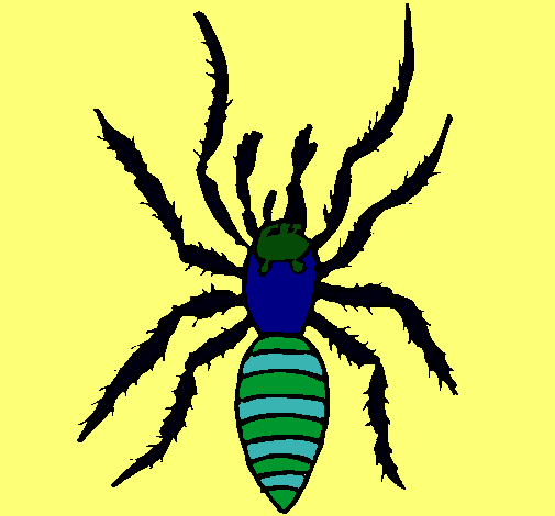 Araña tigre