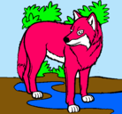 Dibujo Lobo pintado por chantall