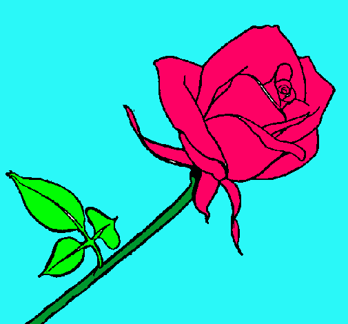 Dibujo Rosa pintado por melany