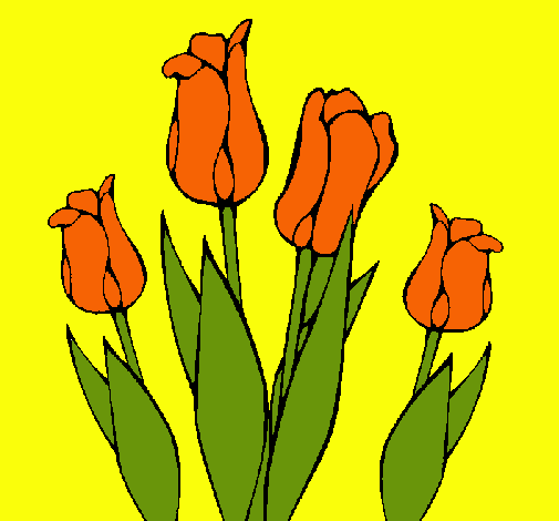 Tulipanes