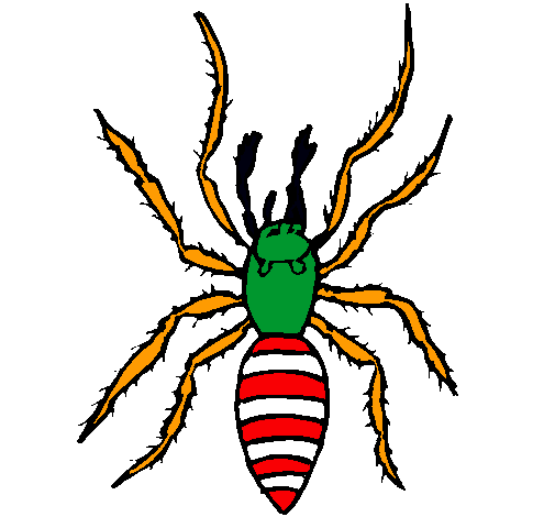 Araña tigre