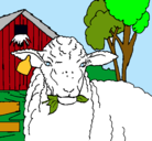 Dibujo Oveja comiendo una hoja pintado por oveja