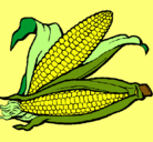 Dibujo Mazorca de maíz pintado por AWEASEDF