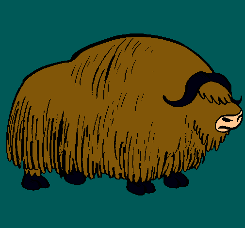 Bisonte