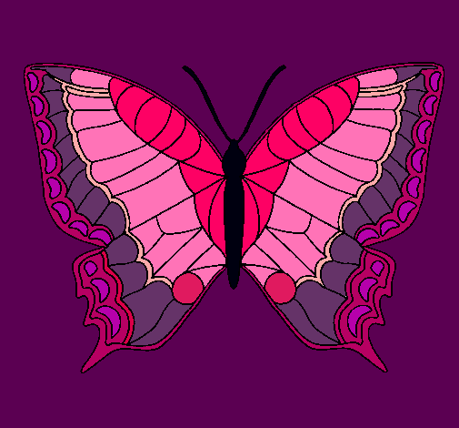 Mariposa