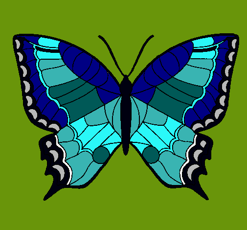 Mariposa