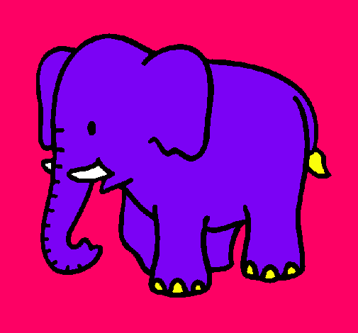 Elefante bebe