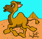 Dibujo Camello pintado por CAMELA