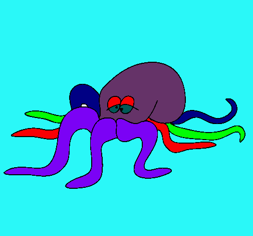 Pulpo