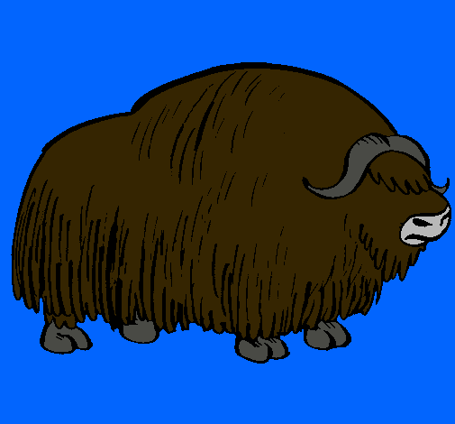 Bisonte