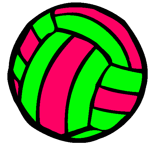 Pelota de voleibol