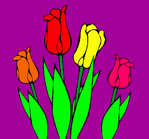 Tulipanes