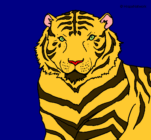 Tigre