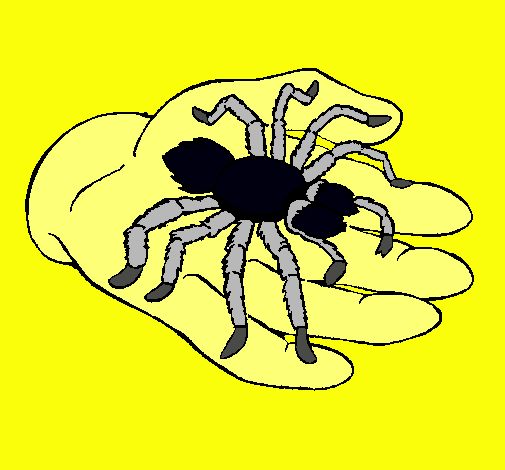 Tarántula