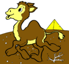 Dibujo Camello pintado por abubu