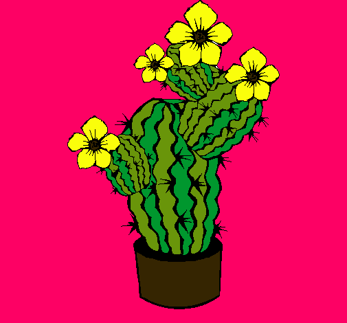 Flores de cactus