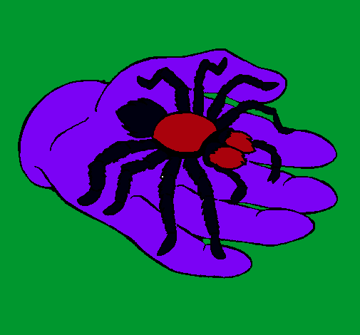 Tarántula