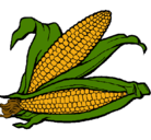 Dibujo Mazorca de maíz pintado por elotessss