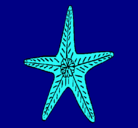 Dibujo Estrella de mar pintado por hvjnbh