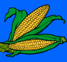 Dibujo Mazorca de maíz pintado por Oana