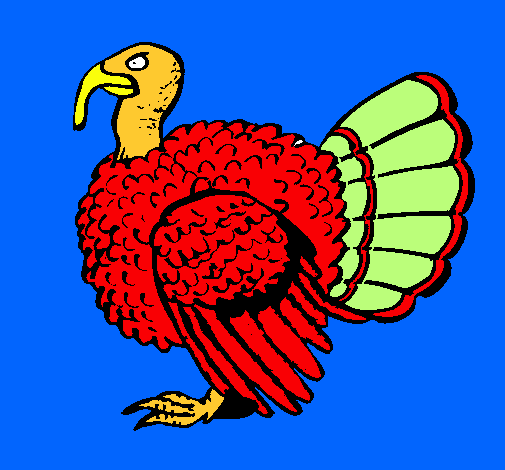 Pavo 