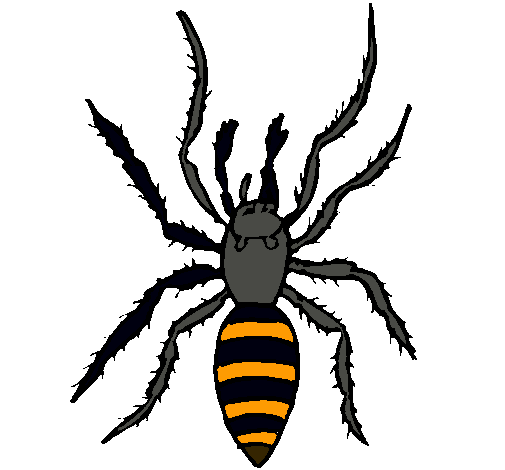 Araña tigre