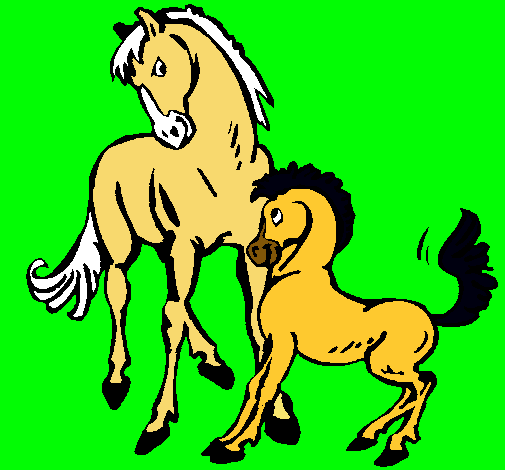 Caballos