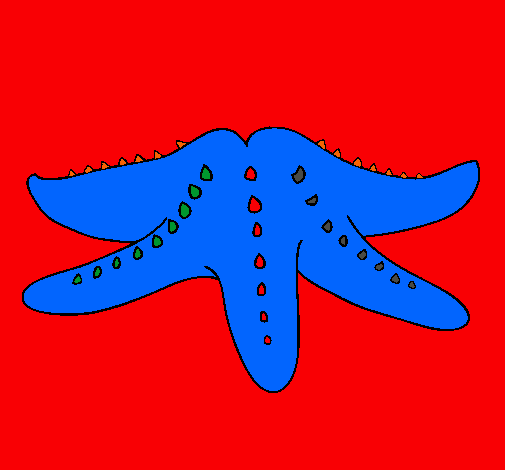 Estrella de mar