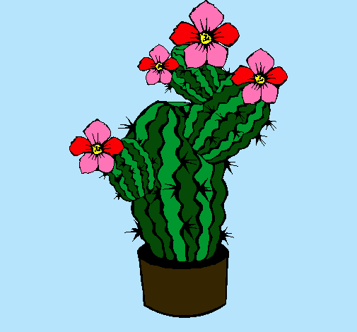 Flores de cactus