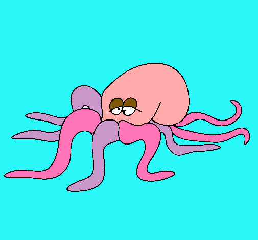 Pulpo