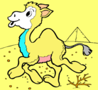 Dibujo Camello pintado por avatar