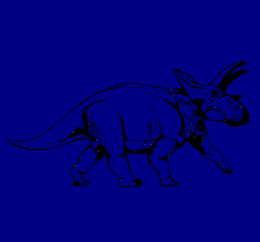 Triceratops