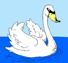 Dibujo Cisne en el agua pintado por lourdesjr