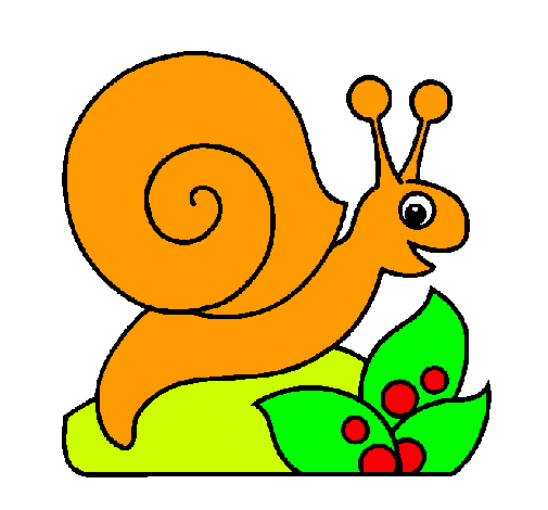 Caracol