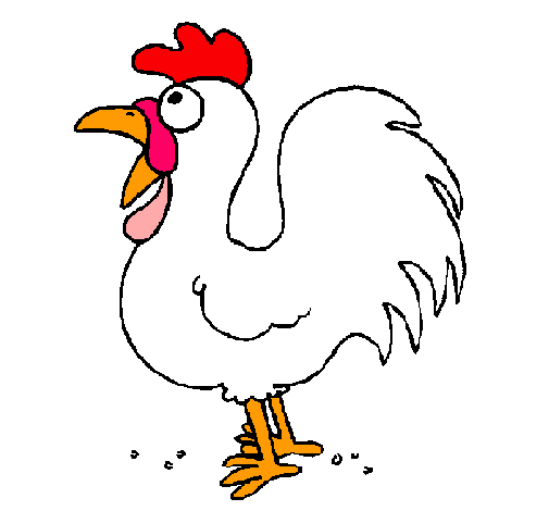 Gallo de granja