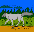 Dibujo Coyote pintado por PIPE
