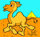Dibujo Camello pintado por evelio 
