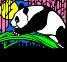 Dibujo Oso panda comiendo pintado por comiendo