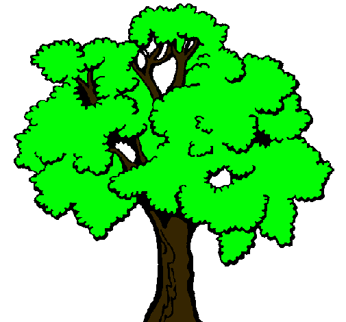 Árbol