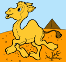 Dibujo Camello pintado por yabier