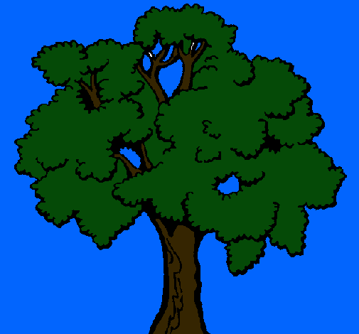 Árbol