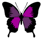 Dibujo Mariposa con alas negras pintado por mariposita